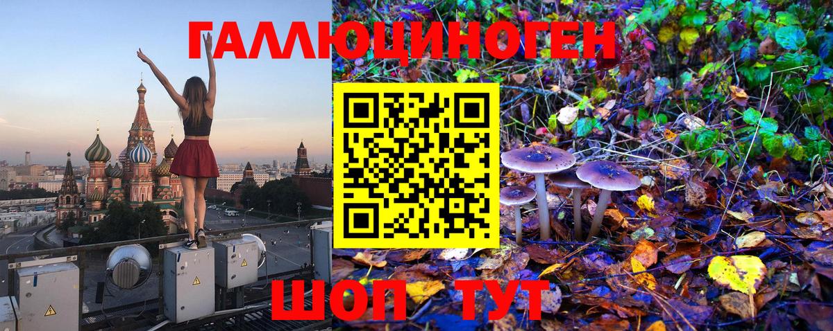 Псилоцибиновые грибы Psilocybe  Вход с VPN  Зерноград 
