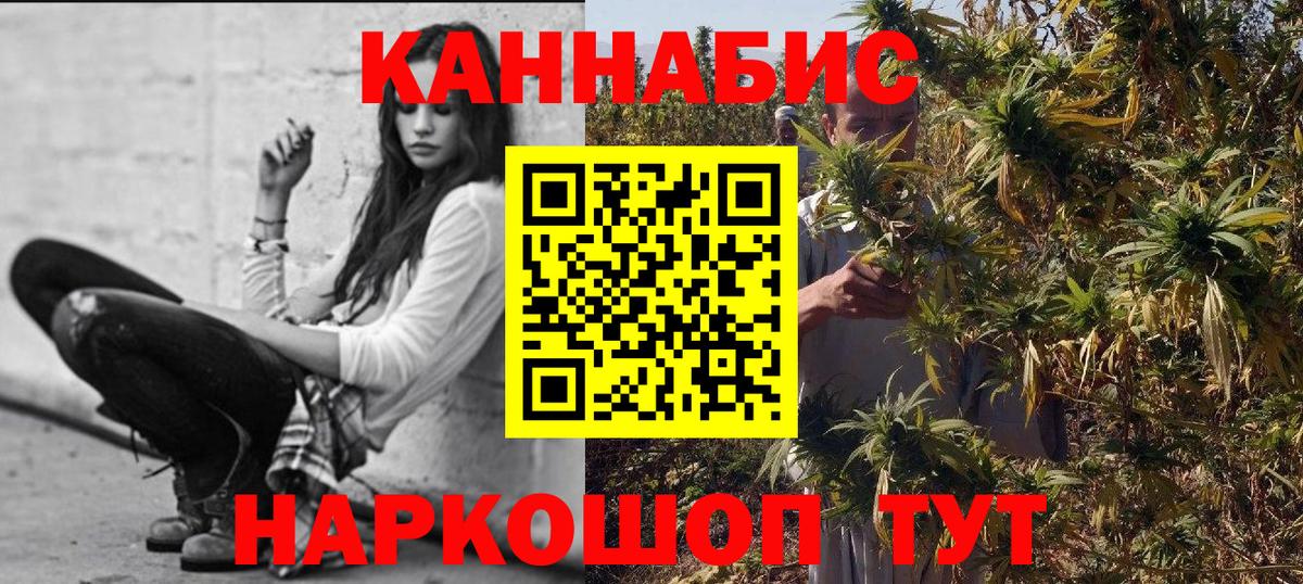 Канабис OG Kush Зерноград